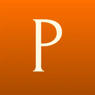 Pinсервис, сервисный центр, лого-визитка